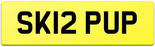 Skip number plate - skip, sk12
